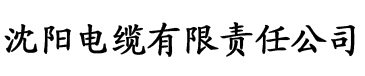 久久精品国产色蜜蜜麻豆电缆厂logo